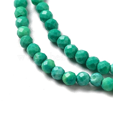 Natural Howlite Beads Strands(G-C025-02A-02)-4
