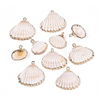 Electroplate Natural Shell Pendants, Shell Shape Charms, with Iron Loops and Brass Findings, Floral White, Light Gold, 18~28x18~29x5~10mm, Hole: 1.4mm(SSHEL-Q100-14KCG)