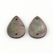 Teardrop Black Lip Shell Links connectors, Black, 18x13x1.5mm, Hole: 1mm(SHEL-R009-41)