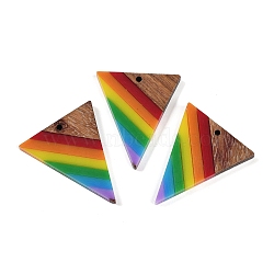 Rainbow Color Opaque Resin & Wood Pendants, Inverted Triangle Charms, Colorful, 37x31x3.5mm, Hole: 1.8mm(WOOD-K012-13)