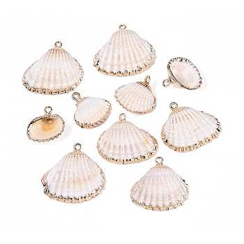 Electroplate Natural Shell Pendants, Shell Shape Charms, with Iron Loops and Brass Findings, Floral White, Light Gold, 18~28x18~29x5~10mm, Hole: 1.4mm