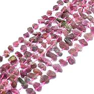 Natural Tourmaline Beads Strands, Nuggets, 9~15x5~10x3~7mm, Hole: 0.8mm, about 48~52pcs/strand, 15.55 inch(39.5cm)(G-F715-073A)