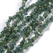 Natural Green Apatite Beads Strands, Chip, 3~16x3~8mm, Hole: 0.7mm, 32.28''(82cm)(G-G011-09)