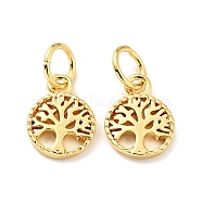 Rack Plating Brass Pendants, Flat Round with Tree of Life Pattern, with Jump Ring, Cadmium Free & Nickel Free & Lead Free, Real 18K Gold Plated, 10x7.5x1mm, Jump Ring: 5x0.7mm, Hole: 3.6mm(X-KK-C242-02G)