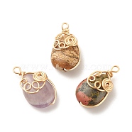 Eco-Friendly Natural Mixed Stone Pendants, with Copper Wire, Teardrop, 25~26x14x7.5~8.5mm, Hole: 2~2.5mm(PALLOY-JF01593)