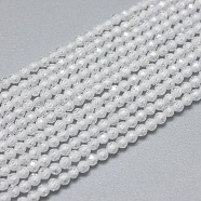 Cubic Zirconia Beads Strands, Faceted, Round, Clear, 2mm, Hole: 0.5mm, about 169pcs/strand, 15.7 inch(40cm)(G-G792-47-01A)