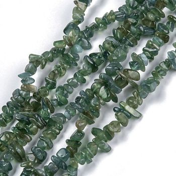 Natural Apatite Beads Strands, Chip, 3~16x3~8mm, Hole: 0.7mm, 32.28''(82cm)