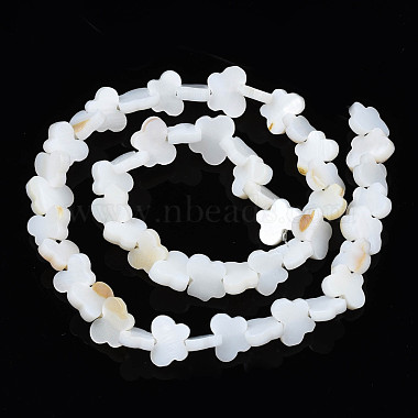 Freshwater Shell Beads Strands(SHEL-T009-A18)-3