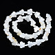 Freshwater Shell Beads Strands(SHEL-T009-A18)-3