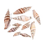 Electroplate Natural Spiral Shell Big Pendants, Shell Shape Charms, with Iron Loops and Brass Findings, Sandy Brown, Light Gold, 21~54x7~17x7~15mm, Hole: 1.5~1.8mm(SSHEL-Q100-27KCG)