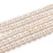 Natural Cultured Freshwater Pearl Beads Strands, Rice, White, 5x4mm, Hole: 0.5mm, about 70pcs/strand, 14.57 inch(37cm)(PEAR-L033-59)