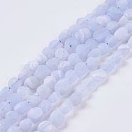 Natural Blue Lace Agate Beads Strands, Frosted, Nuggets, 6~10x5~8x3~7mm, Hole: 1mm, about 53pcs/strand, 14.9 inch(G-J374-10)