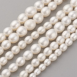 Natural Cultured Freshwater Pearl Graduated Beads Strands, Grade AAAA, Oval, Old Lace, 4~10x4~9mm, Hole: 0.5mm, about 60~62pcs/strand, 15.7 inch(40cm)(PEAR-G007-05A)