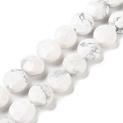 Natural Howlite Beads Strands, Faceted, Flat Round, 10~10.5x4.5~5.5mm, Hole: 1.2mm, about 20pcs/strand, 7.80 inch(19.8cm)(G-K357-B06-01)