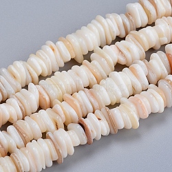 Natural Freshwater Shell Beads Strands, Shell Shards, Disc, White, 6~10x5~7x1.5~2.5mm, Hole: 1.2mm, about 190pcs/strand, 15.75 inch(40cm)(SHEL-D078-01B)