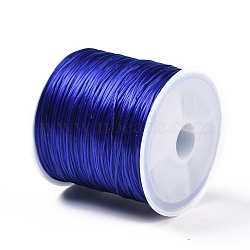 30M Elastic Crystal Thread, Jewelry Beading Cords, For Stretch Bracelet Making, Blue, 0.8mm, about 32.81 Yards(30m)/Roll(EW-G011-01A)