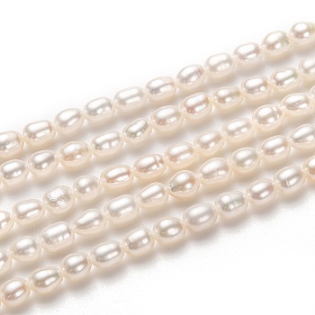 Natural Cultured Freshwater Pearl Beads Strands, Rice, White, 5x4mm, Hole: 0.5mm, about 70pcs/strand, 14.57 inch(37cm)