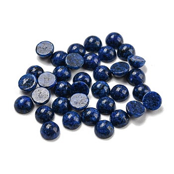 Natural Lapis Lazuli Dyed Cabochons, Half Round, 4x2~2.5mm