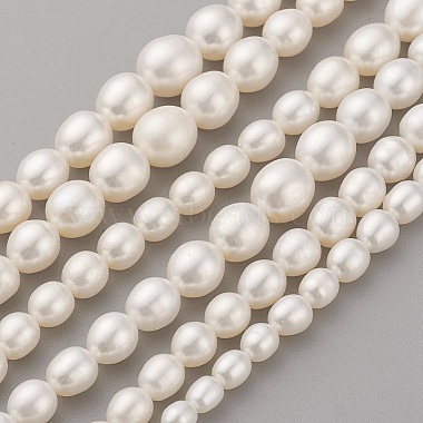 4mm OldLace Oval Pearl Beads