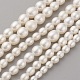 Natural Cultured Freshwater Pearl Graduated Beads Strands(PEAR-G007-05A)-1