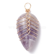 Natural Amethyst Pendants, with Light Gold Tone Copper Wire Wrapped, Water Drop, 35~36x16~17x8.5mm, Hole: 4mm(PALLOY-JF01291-01)
