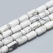 Natural Howlite Bead Strands, Column, 10~11x6mm, Hole: 1mm, about 40pcs/strand, 15.7 inch(G-T078-14)