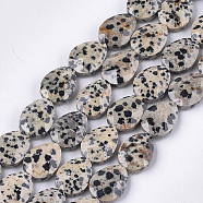 Natural Dalmatian Jasper Beads Strands, Faceted, teardrop, 18x13~13.5x5.5~6mm, Hole: 1.2mm, about 11pcs/strand, 7.8 inch(X-G-S354-05)