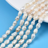 Natural Cultured Freshwater Pearl Beads Strands, Rice, Seashell Color, 5~11.5x4.5~6mm, Hole: 0.7mm, about 43~46pcs/strand, 13.39 inch(34cm)(PEAR-N012-05F)