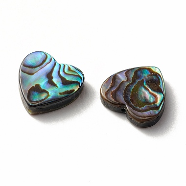 Abalone Shell/Paua Shell Beads(SHEL-T005-01)-3