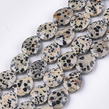 Teardrop Dalmatian Jasper Beads