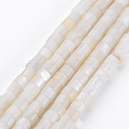 Natural Freshwater Shell Beads Strands, Column, Seashell Color, 4x3mm, Hole: 0.8mm, about 126~132pcs/strand, 14.57 inch~15.75 inch(37~39.2cm)(SHEL-N027-09)