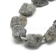 Natural Labradorite Beads Strands, Nuggets, 10~27x17~33x17~33mm, Hole: 2~2.5mm, about 12~15pcs/strand, 15.7 inch(G-R421-09)