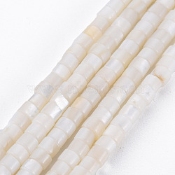 Natural Freshwater Shell Beads Strands, Column, Seashell Color, 4x3mm, Hole: 0.8mm, about 126~132pcs/strand, 14.57 inch~15.75 inch(37~39.2cm)(SHEL-N027-09)