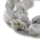 Natural Labradorite Beads Strands(G-C182-25-01)-4