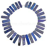 1 Strand Natural Lapis Lazuli Beads Strands, Rectangle, 27.5~42x8.5~10.5x4.5~7.5mm, Hole: 1.6mm, about 31pcs/strand, 15.59 inch(39.6cm)(G-AR0005-29)