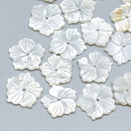 Natural White Shell Beads, Mother of Pearl Shell Beads, Flower, Seashell Color, 11~12x11~12x1~2mm, Hole: 0.8mm(SSHEL-S260-008)
