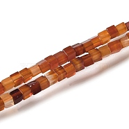 Synthetic Carnelian Beads Strands, Cube, Dyed & Heated, 2~2.5x2.5~3.5x2.5~3mm, Hole: 0.4mm, about 157~165pcs/strand, 14.96~15.75''(38~40cm)(G-B064-A22)