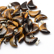 Moon Natural Tiger Eye Pendants, with Platinum Tone Brass Findings, 21~24x12~14x5~6mm, Hole: 2x7mm(G-Q369-07)