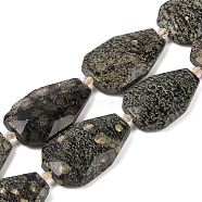 Natural Snowflake Obsidian Beads Strands, Faceted Teardrop, 36~40x24~26x9.5~10.5mm, Hole: 2mm, about 9pcs/strand, 14.96''(38cm)(G-P548-B20-01)