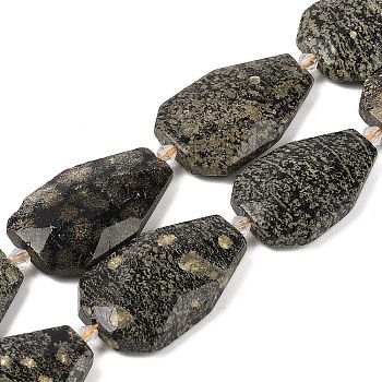 Natural Snowflake Obsidian Beads Strands, Faceted Teardrop, 36~40x24~26x9.5~10.5mm, Hole: 2mm, about 9pcs/strand, 14.96''(38cm)