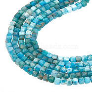 2 Strands Natural Apatite Beads Strands, Faceted, Square, 3.5~4x3.5~4x3.5~4mm, Hole: 0.7mm, about 104~105pcs/strand, 15.43~15.55 inch(39.2~39.5cm)(G-FI0001-01)