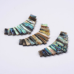 Rectangle Natural Abalone Shell/Paua ShellGraduated Beads Strands, 11~26x5.2~5.8x2~3mm, Hole: 1mm, 13pcs/strand(SSHEL-P002-05)