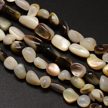 Natural Black Lip Shell Chips Bead Strands, 8~10x7~10x4~6mm, Hole: 1mm, about 15.9 inch