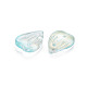 Transparent Spray Painted Glass Charms(GLAA-S190-020A-04)-3