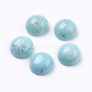 Natural Howlite Cabochons, Half Round, Dyed, 14x6.5mm(G-E482-02A)