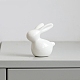 Easter Theme Ceramic Rabbit Figurines(PW-WG45787-01)-1
