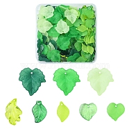 76G 8 Style Transparent Acrylic Pendants, Leaf, Mixed Color, 15~24x11~22.5x2~5mm, Hole: 1~2mm(OACR-FS0001-15)