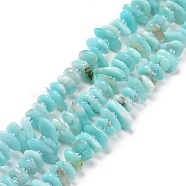 Natural Amazonite Beads Strands, Chip, 5~18x3~9x2~5mm, Hole: 1mm, about 67~69pcs/strand, 15.55''(39.5~40cm)(G-D480-A08)