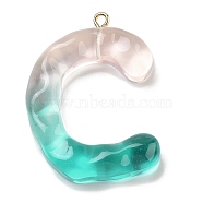 Resin Pendant, with Iron Ring Finding, Letter A~Z, Letter C, 39.5x29.5x7mm, Hole: 2mm(FIND-Q107-01C-01)