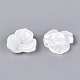 Natural White Shell Beads(BSHE-T014-50)-3